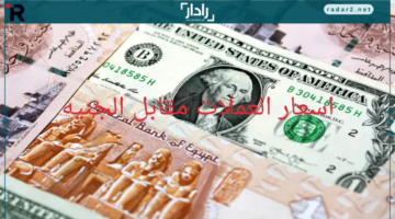 استقرار ملحوظ في اسعار العملات مقابل الجنيه المصري بين السوق السوداء والبنك المركزي